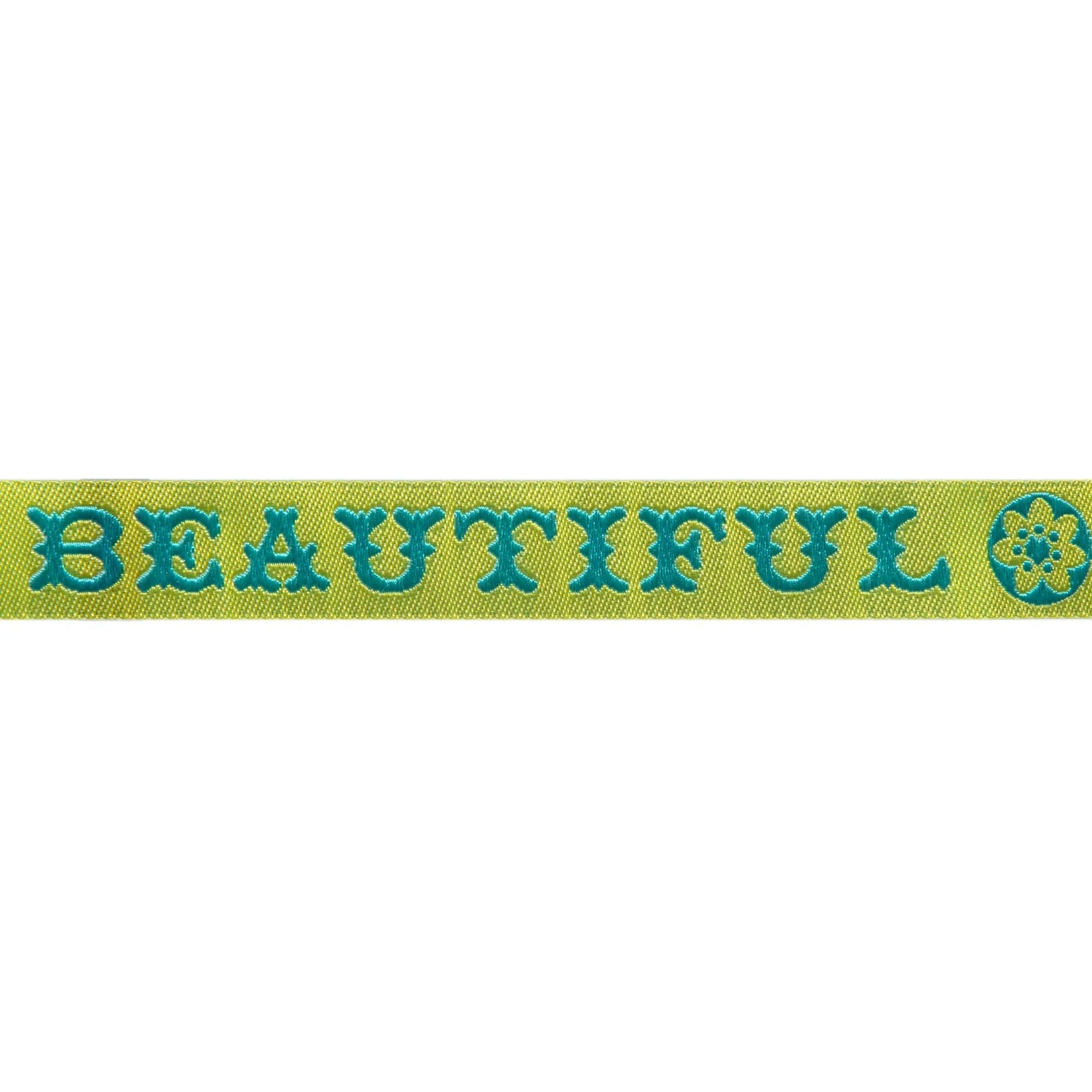 You Are Beautiful - Turquoise 5/8" - Amy Butler - PER QUARTER METRE