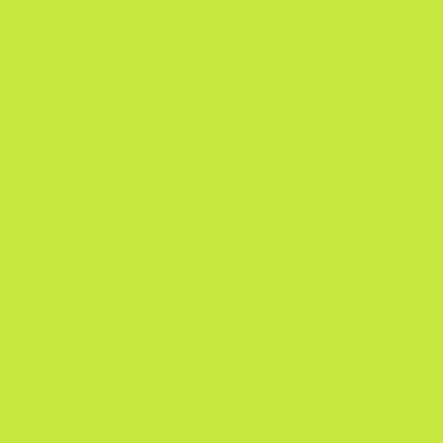 Tula Pink Solids Limeade - Tula Pink - PER QUARTER METRE Tula Pink Solids Limeade - Tula Pink - PER QUARTER METRE