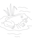 Un-Kits - Frog