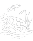 Un-Kits - Turtle