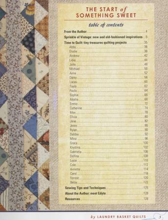 Little Handfuls of Scraps - Edyta Sitar