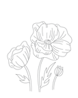 Un-Kits - Poppies