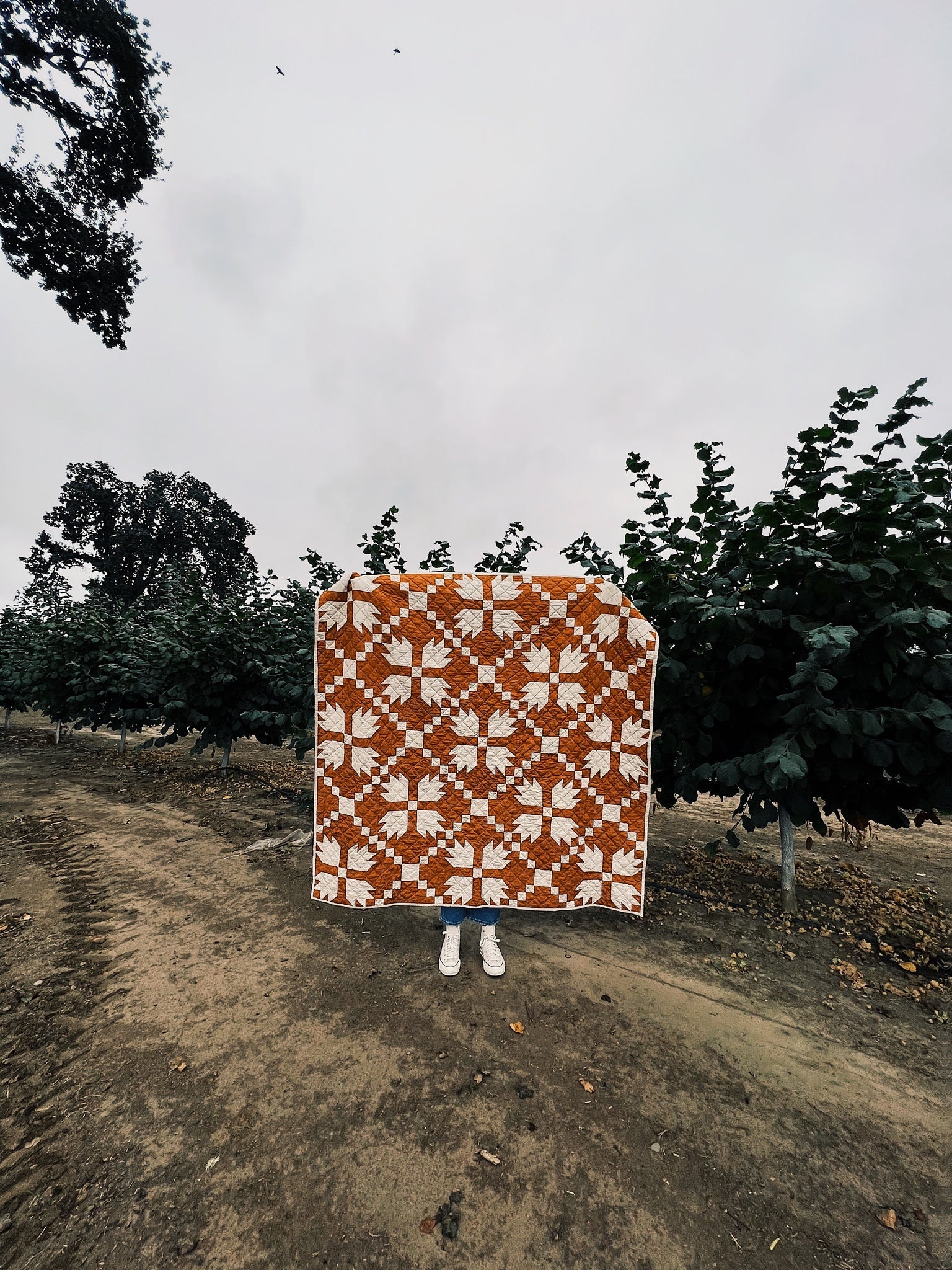 Archie Pieced Quilt Pattern