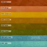 Storytime Challenge 2026 Half Yard Bundle