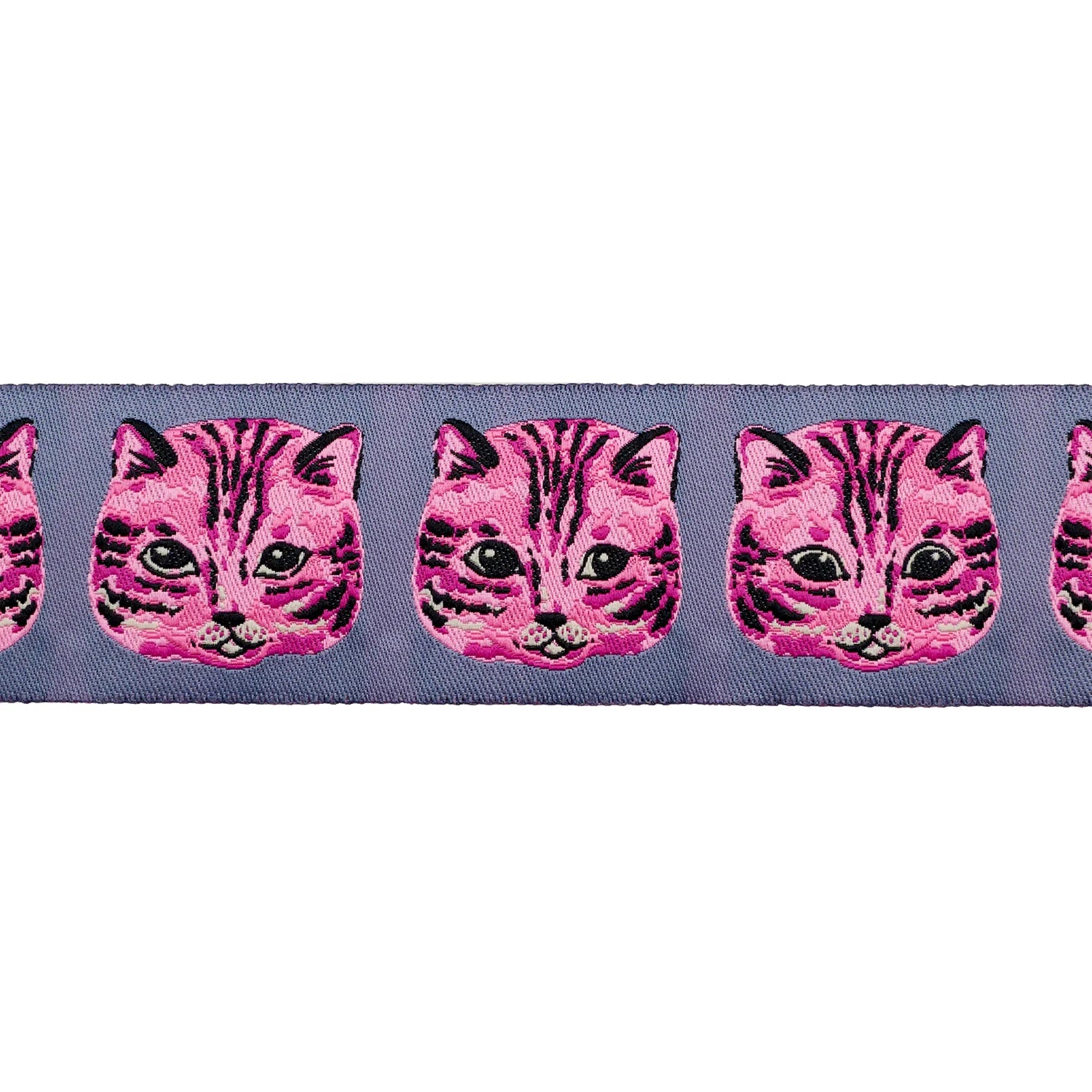 Meow Meow Ribbon by Sarah Watts - 1.5" PER QUARTER METRE