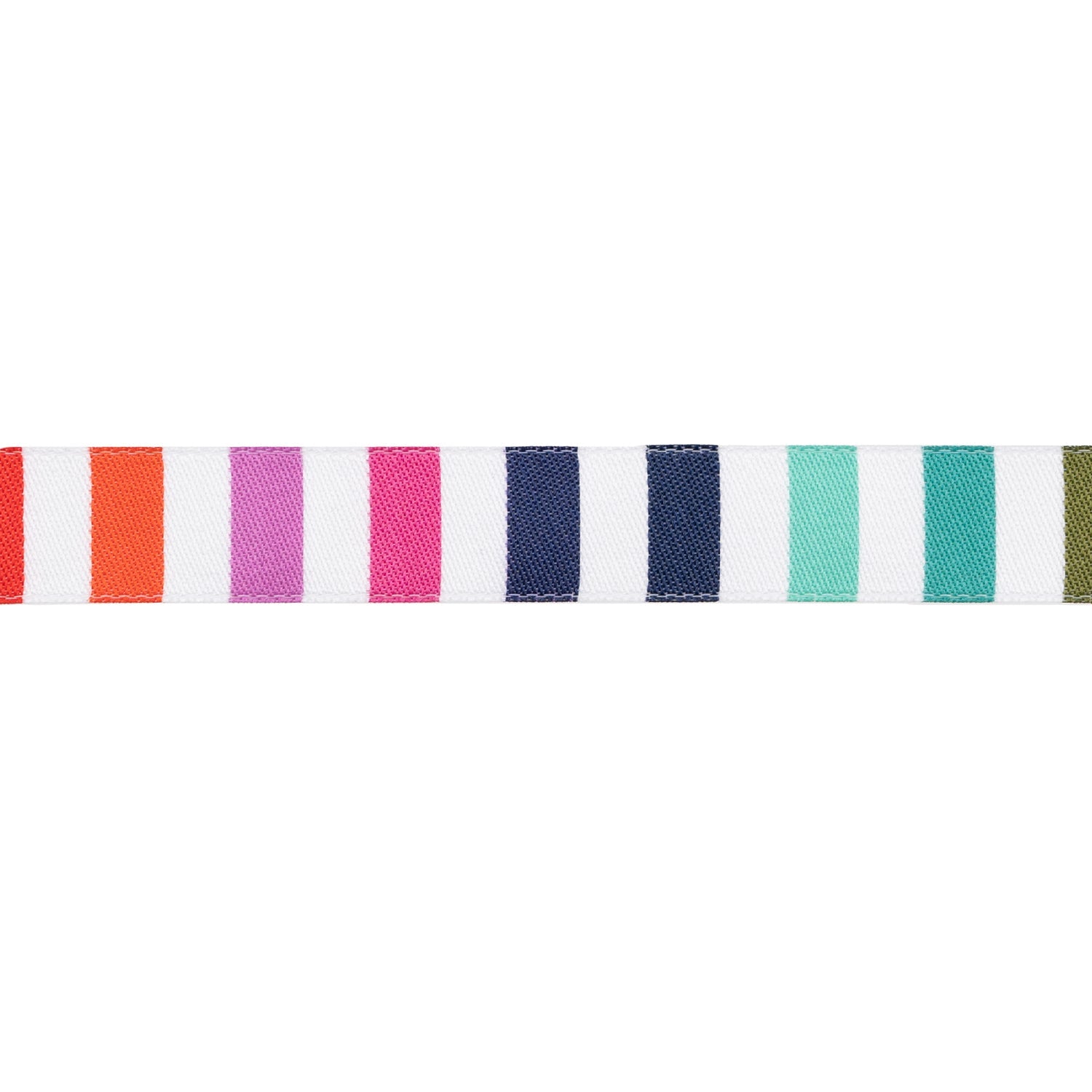 Tabby Road Rainbow Stripe - 5/8" - Tula Pink - PER QUARTER METRE