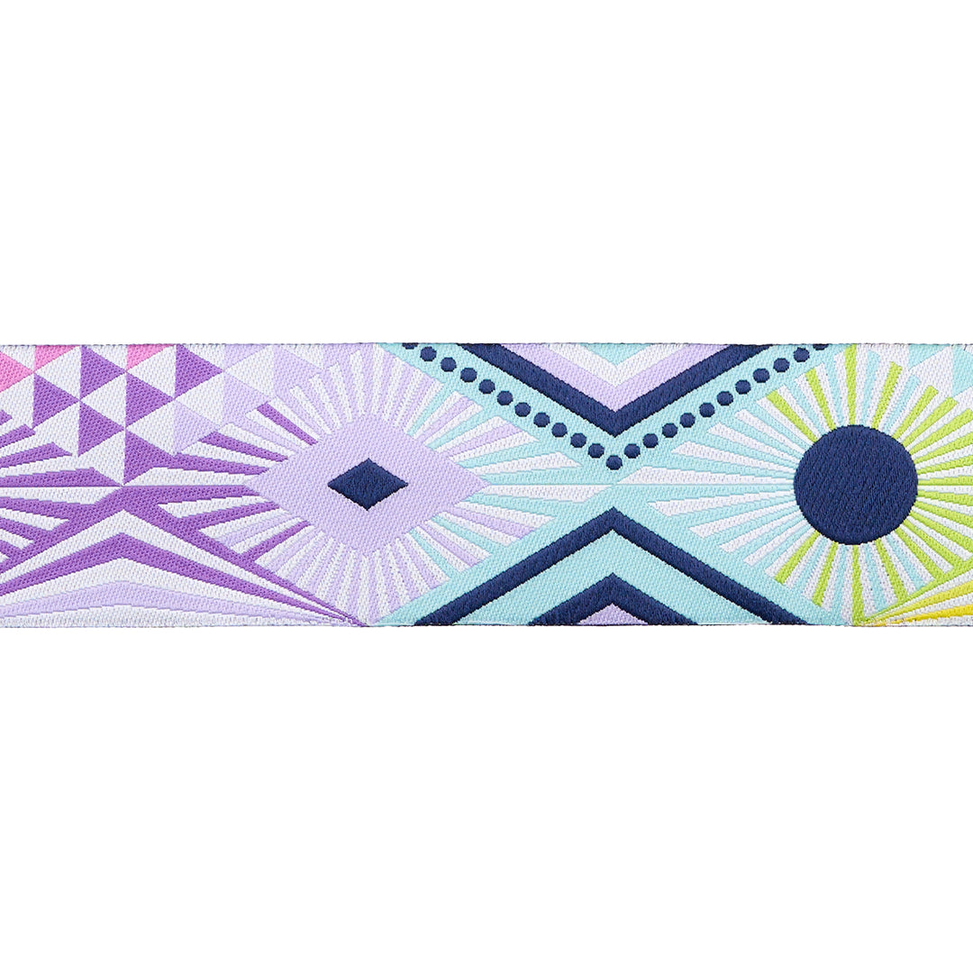 Tabby Road Mega Lucy - 1-1/2 " width - Tula Pink - PER QUARTER METRE