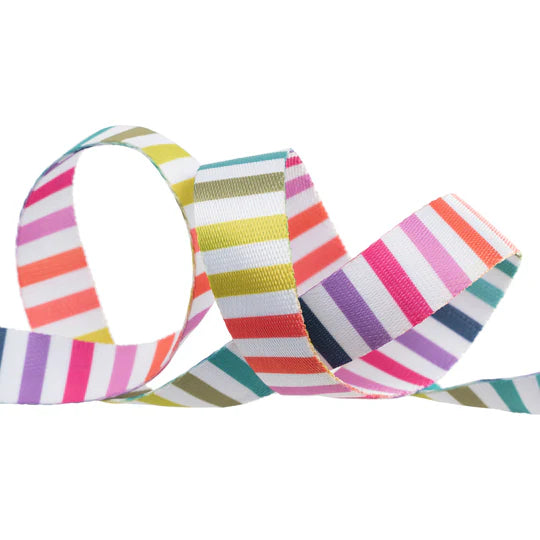 Disco Stripe Webbing - 1 Disco Stripe Webbing - 1