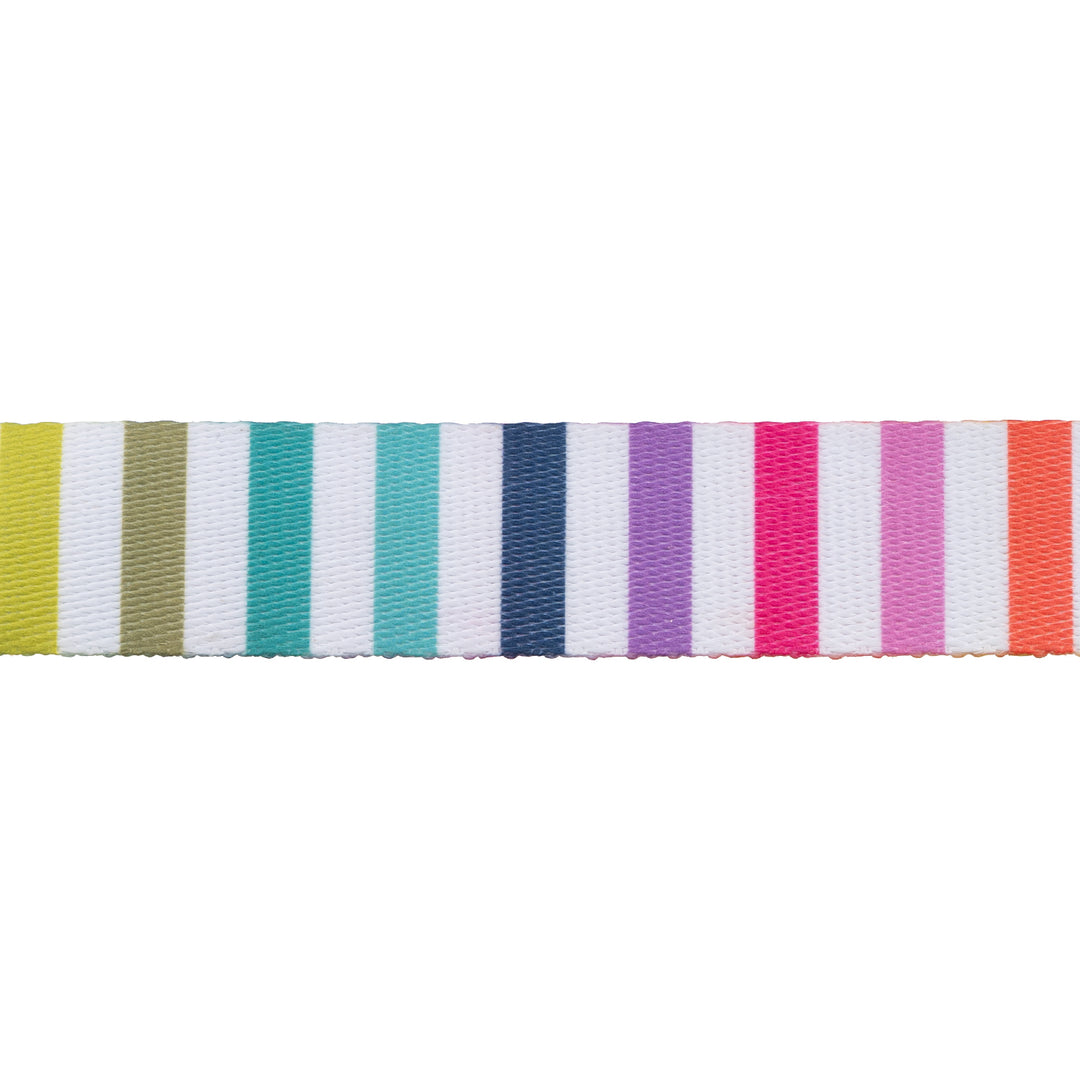 Disco Stripe Webbing - 1 Disco Stripe Webbing - 1