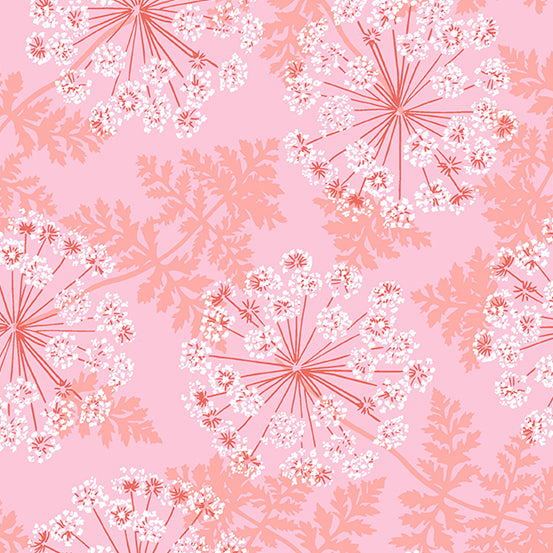 Flora and Fauna Wild Carrots Pink - Patty Sloniger - PER QUARTER METRE Flora and Fauna Wild Carrots Pink - Patty Sloniger - PER QUARTER METRE