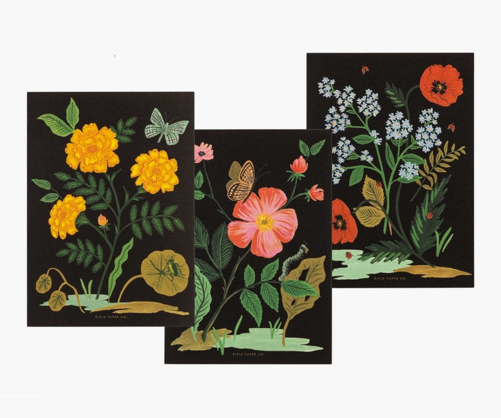 Botanical Social Stationary Set