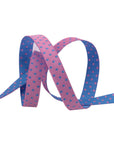 Reversible Dots Sky 3/8"- Tula Pink - PRICE PER QUARTER METRE
