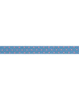 Reversible Dots Sky 3/8"- Tula Pink - PRICE PER QUARTER METRE