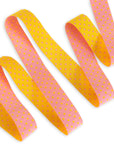 Reversible Dots Flare 5/8"- Tula Pink - PRICE PER QUARTER METRE