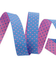 Reversible Dots Sky 5/8"- Tula Pink - PRICE PER QUARTER METRE