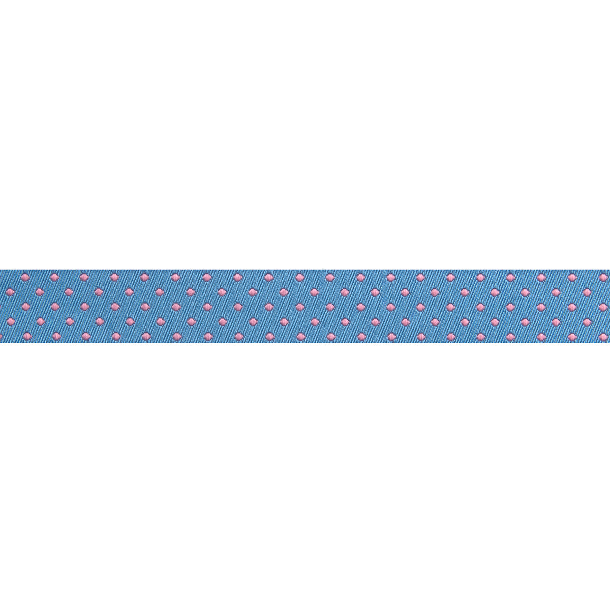 Reversible Dots Sky 5/8"- Tula Pink - PRICE PER QUARTER METRE