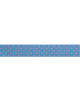 Reversible Dots Sky 5/8"- Tula Pink - PRICE PER QUARTER METRE