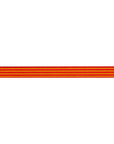 Reversible Stripes Sunrise 3/8"- Tula Pink - PRICE PER QUARTER METRE