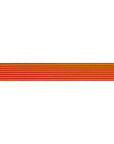 Reversible Stripes Sunrise 5/8"- Tula Pink - PRICE PER METRE