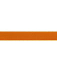Reversible Stripes Sunrise 5/8"- Tula Pink - PRICE PER METRE
