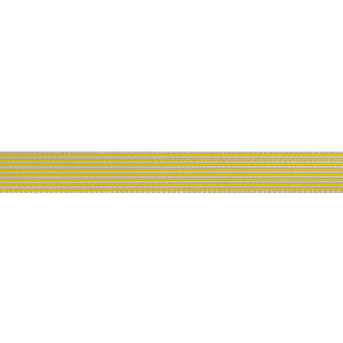 Reversible Stripes Spark 5/8"- Tula Pink - PRICE PER QUARTER METRE
