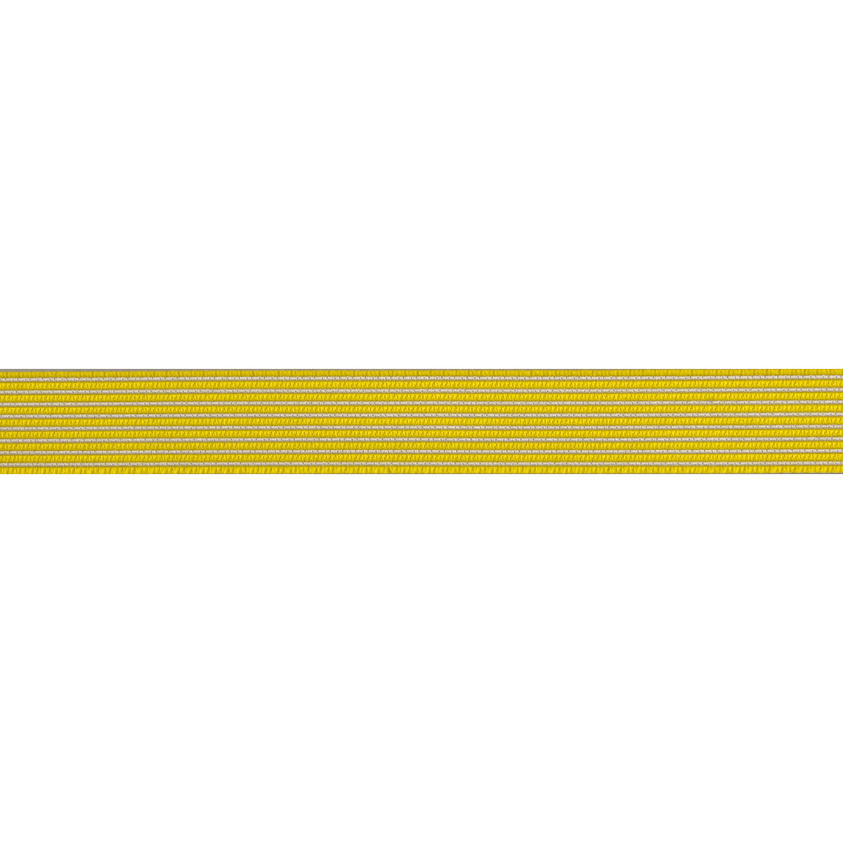 Reversible Stripes Spark 5/8"- Tula Pink - PRICE PER QUARTER METRE