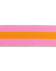 Orange Fizz - 1.5" - Tula Pink Webbing - PER QUARTER METRE