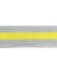 Thunderbolt - 1.5" - Tula Pink Webbing - PER QUARTER METRE