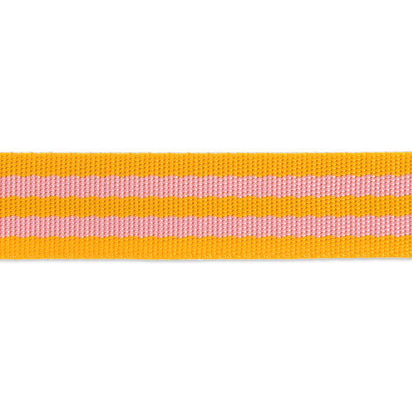 Orange Fizz - 1" - Tula Pink Webbing - PER QUARTER METRE