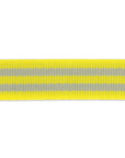 Thunderbolt - 1" - Tula Pink Webbing - PER QUARTER METRE
