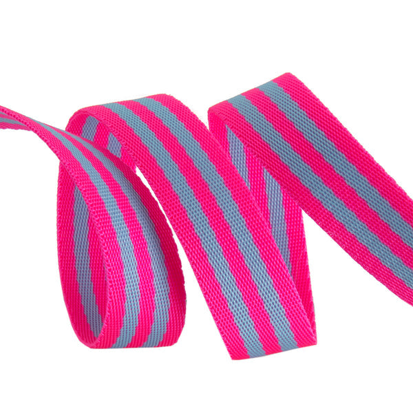 Aqua & Hot Pink - 1" - Tula Pink Webbing - PER QUARTER METRE