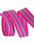 Aqua & Hot Pink - 1" - Tula Pink Webbing - PER QUARTER METRE