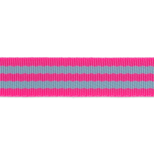 Aqua & Hot Pink - 1" - Tula Pink Webbing - PER QUARTER METRE