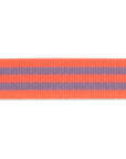 Peach Berry - 1" - Tula Pink Webbing - PER QUARTER METRE