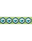 Hexagon Ribbon Trim Green & Blue 7/8" - Tula Pink - PER QUARTER METRE