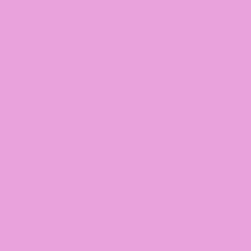 Tula Pink Solids Sweet Pea - Tula Pink - PER QUARTER METRE
