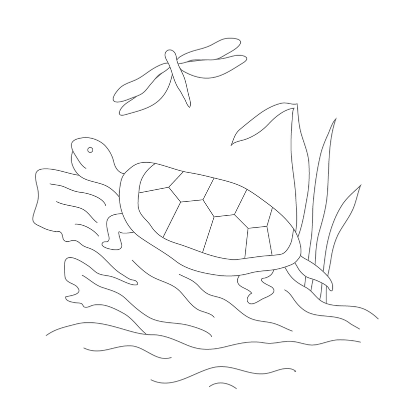 Un-Kits - Turtle