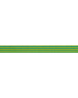Reversible Stripes Songbird 3/8"- Tula Pink - PRICE PER QUARTER METRE