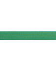 Reversible Stripes Songbird 5/8"- Tula Pink - PRICE PER QUARTER METRE