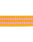 Orange Fizz - 1" - Tula Pink Webbing - PER QUARTER METRE
