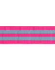 Aqua & Hot Pink - 1" - Tula Pink Webbing - PER QUARTER METRE